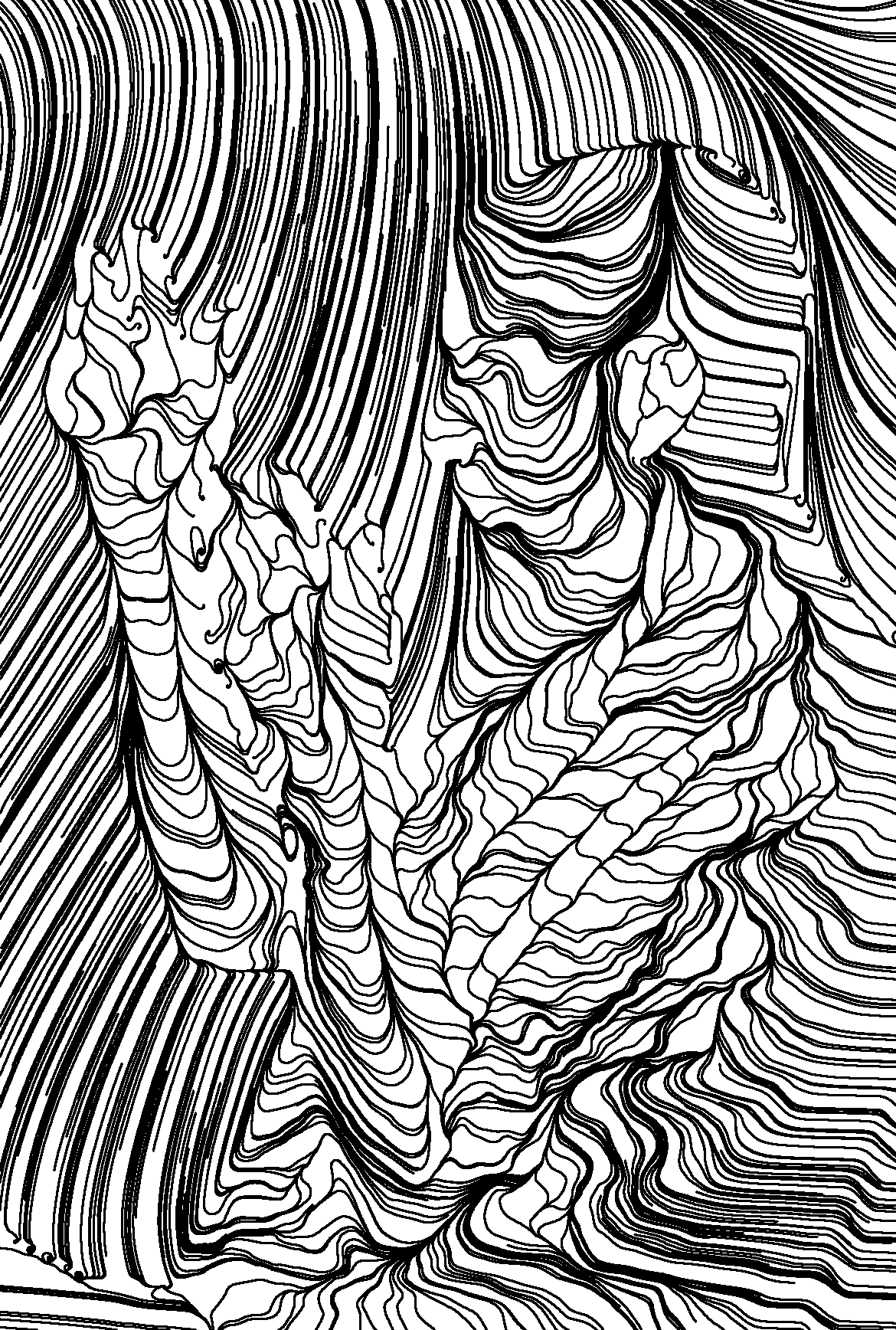 One of the first image based flow field portraits